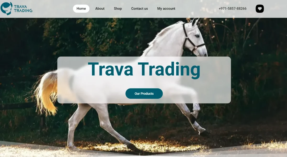 طراحی سایت Trava Trading