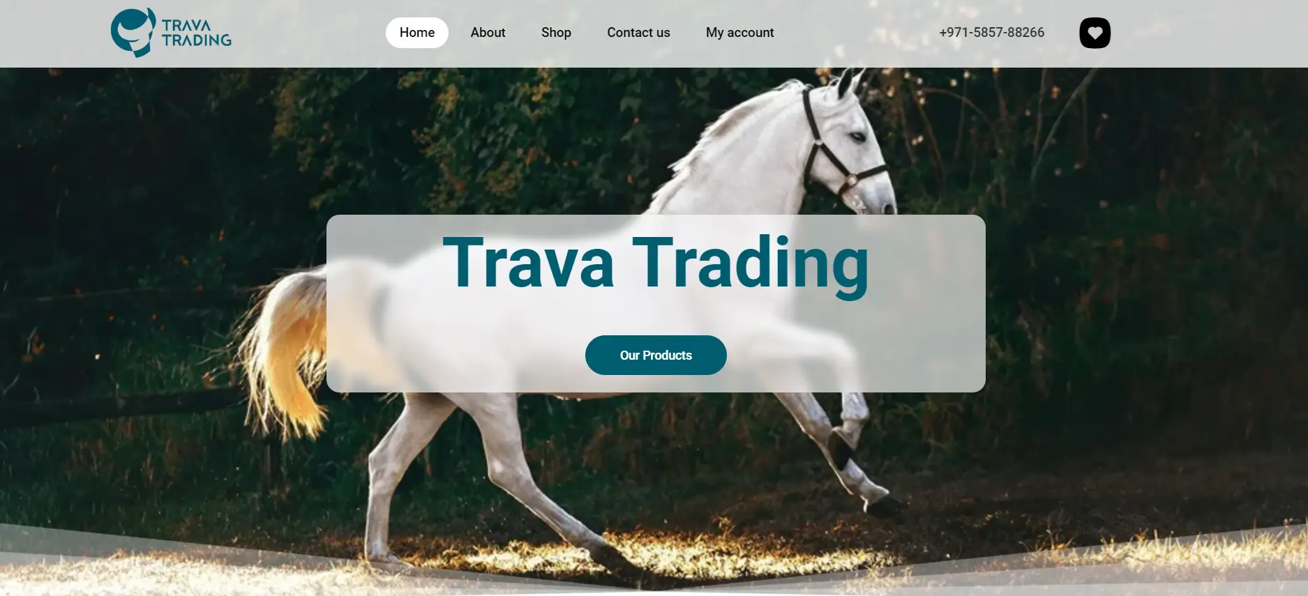 طراحی سایت Trava Trading